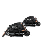 Zoe Tribe Compact Quad Stroller image 2