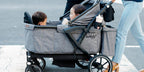 Larktale Sprout Stroller/Wagon V2 image 1