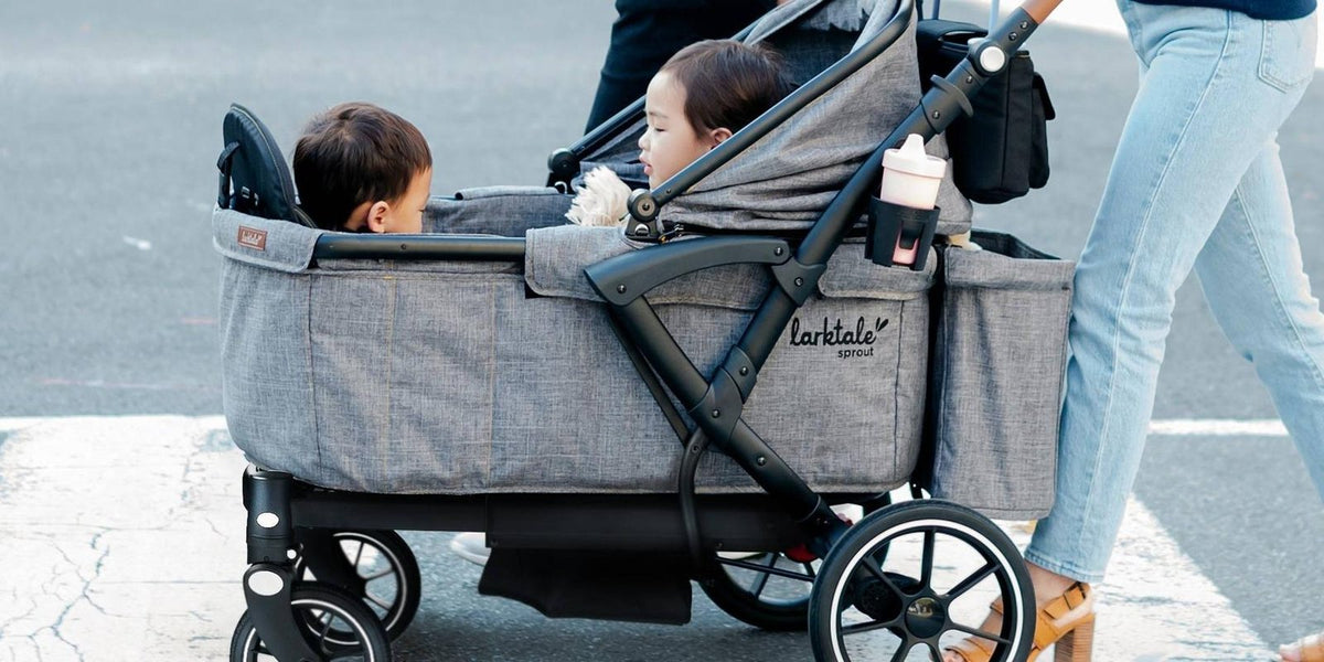 Larktale Sprout Stroller/Wagon V2 image 1